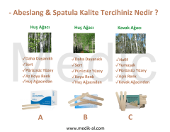 Ayset (Huş) Abeslang & Tahta Dil Basacağı & Spatula 100'lü Paket